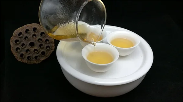 冬の気温上昇で害虫が増える？気候変動が庭に与える影響と対策