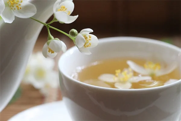 徒長した観葉植物を復活させる剪定方法｜プロが実践するたった1つの切り戻しで3週間後にはモコモコに