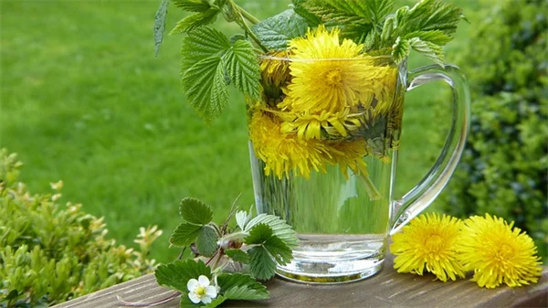 鉢植えの土代を節約！空き缶を使う母の裏技