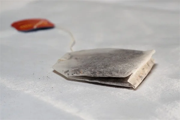 中西部で木を選ぶなら？失敗しないための完全ガイド