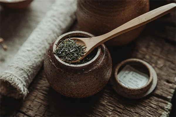 中西部で木を選ぶなら？失敗しないための完全ガイド